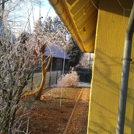 فندق Wienhausenفي  Gastehaus Allergrund المظهر الخارجي الصورة